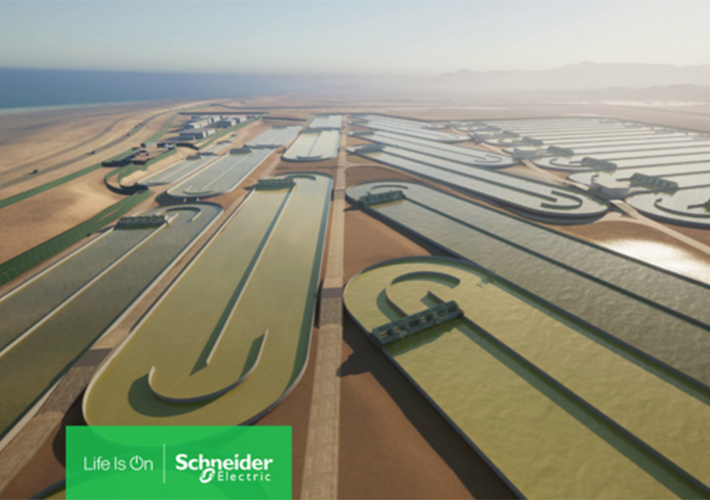 foto noticia Brilliant Planet amplía su proceso de captura de carbono a partir de algas con una solución de automatización universal de Schneider Electric y Platinum Electrical Engineering.